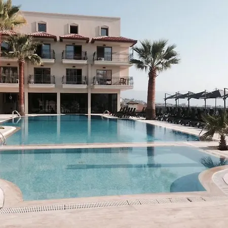 Palmera