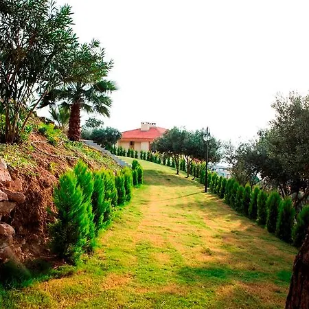 Palmera فندق 3*