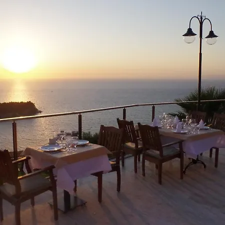 Palmera Hotel 3*