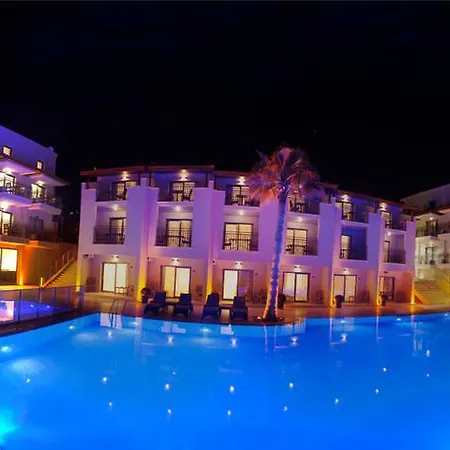 Apartment Palmera *