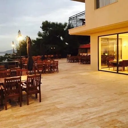 Hotel Palmera