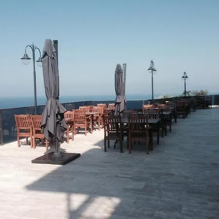 Hotel Palmera