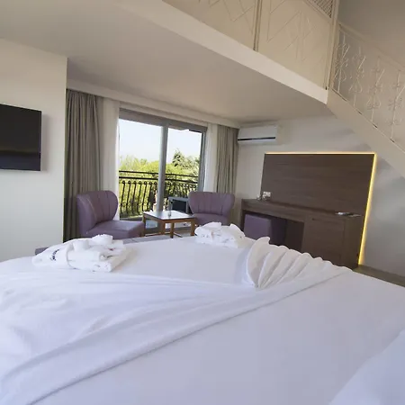 Palmera Hotel 3*