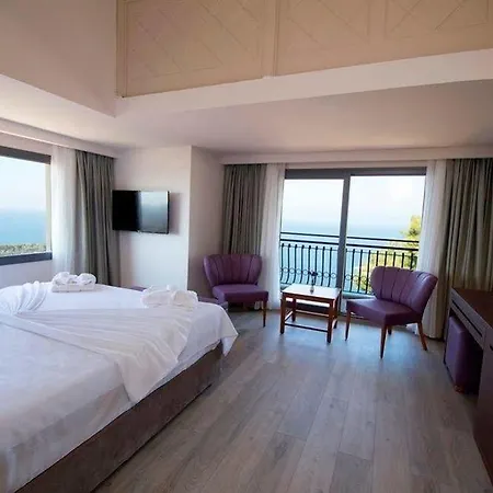 Palmera Hotel
